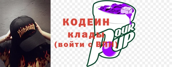 apvp Инта