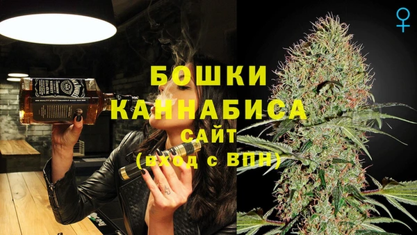 apvp Инта