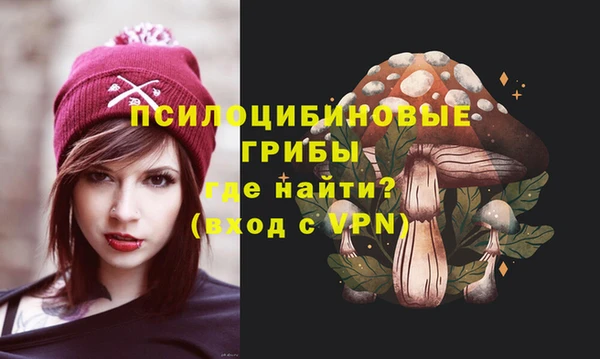 apvp Инта