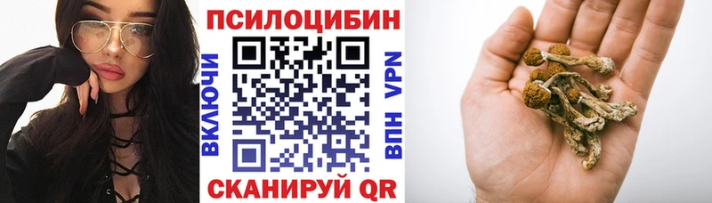 Псилоцибиновые грибы GOLDEN TEACHER  Купить где  Костерёво 